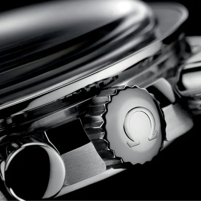 Speedmaster Moonwhatch Professional